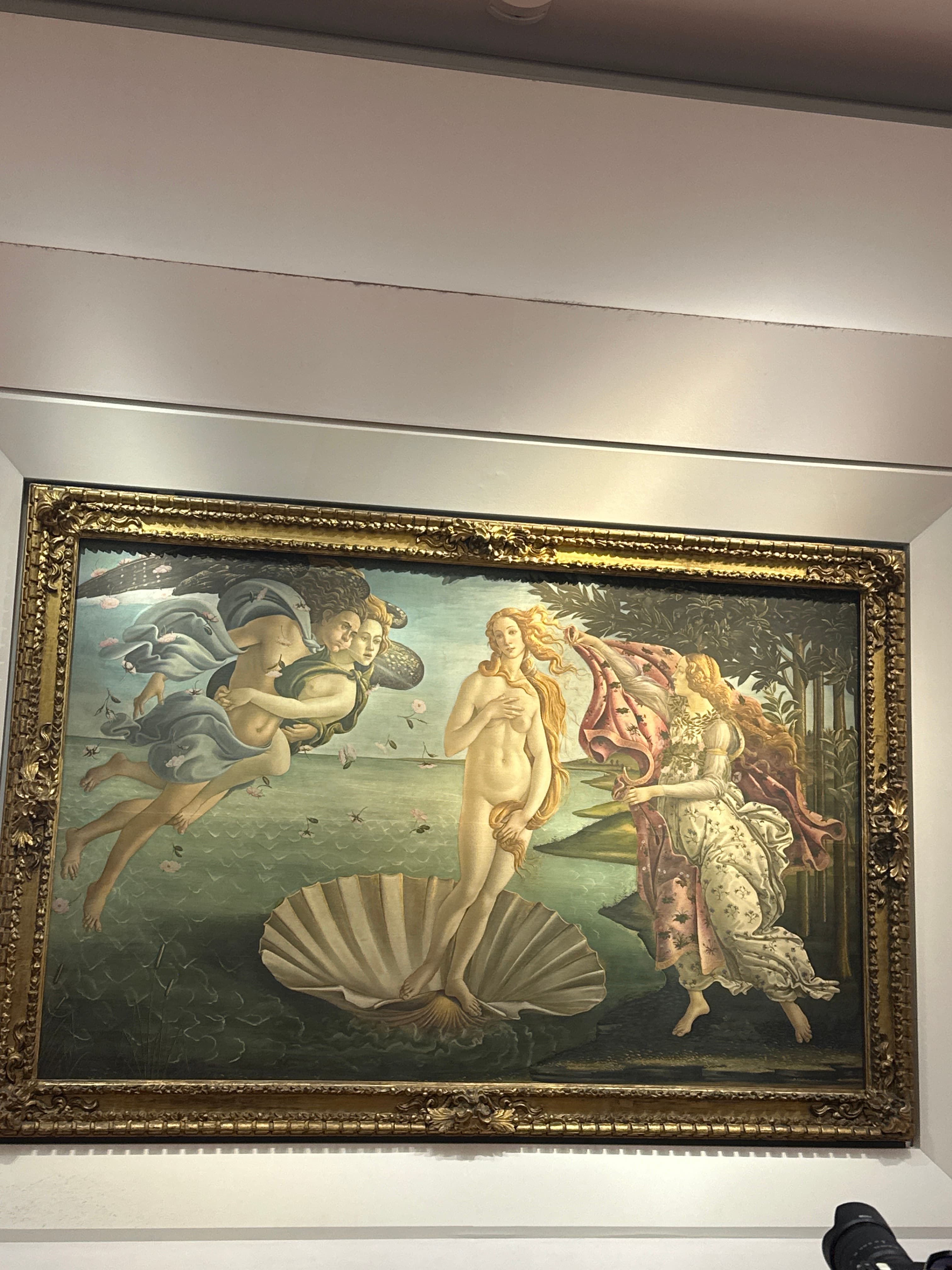 The Birth of Venus